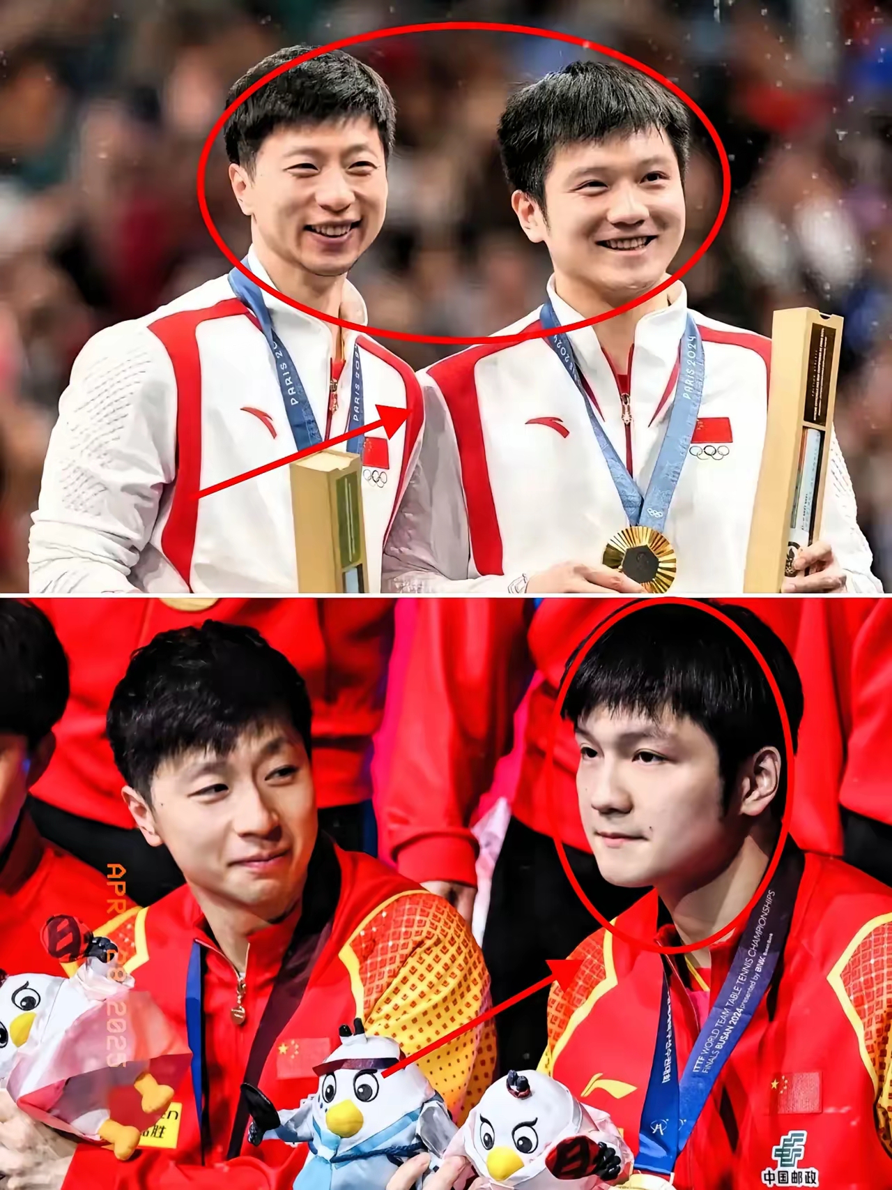 日本乒乓球队完胜韩国乒乓球队，马龙完成帽子戏法的简单介绍