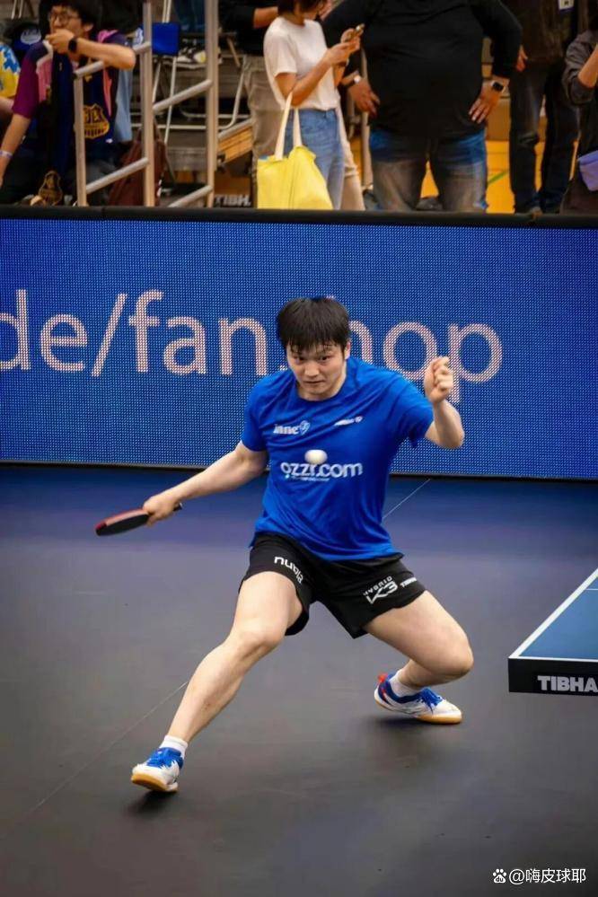 比利时乒乓球队爆冷德国乒乓球队，樊振东送出助攻的简单介绍