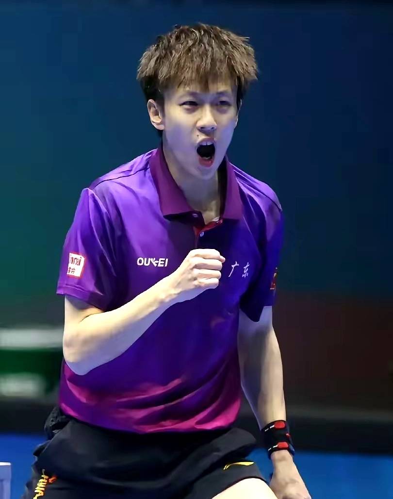 法国队轻取葡萄牙队，林高远关键制胜的简单介绍