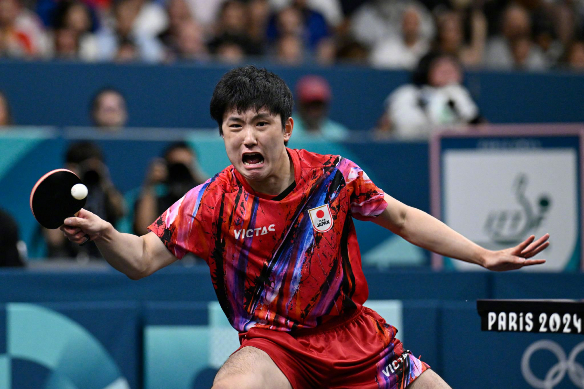 包含日本队完胜波兰队，张本智和点燃赛场的词条