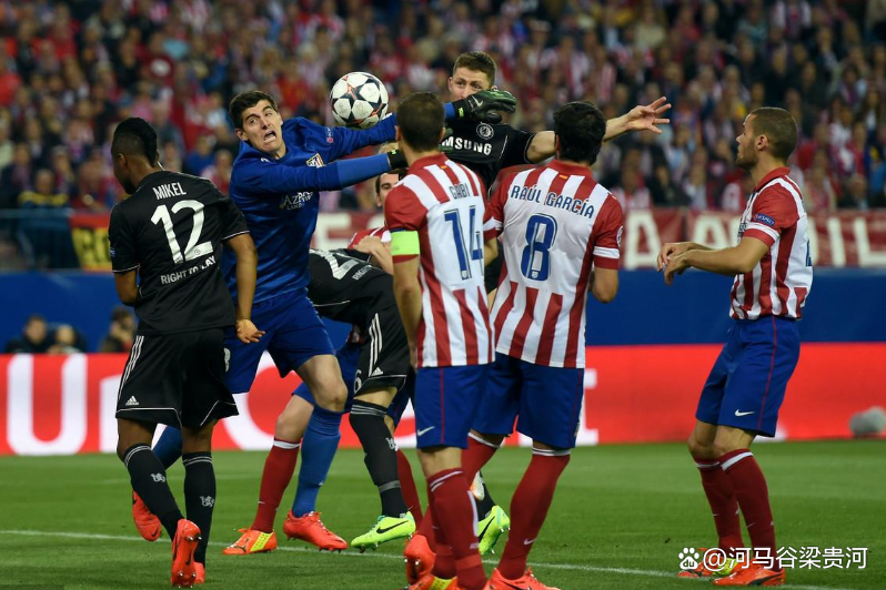 公牛逆转四川队，武切维奇统治全场的简单介绍