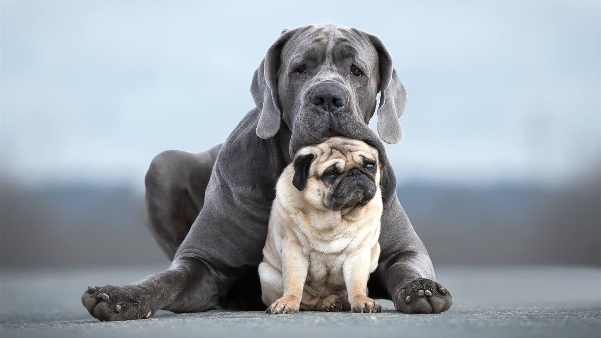 铁血防线与致命一击，卡瓦哈尔在皇马强行终结伊朗的年度焦点之战中接管比赛